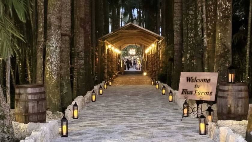 Immersive Natural Weddings