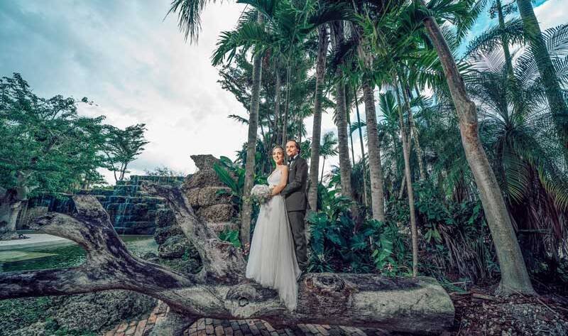 Wedding Venue & Celebration Quotes
